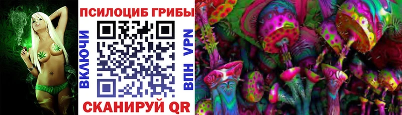 что такое   Копейск  Галлюциногенные грибы Cubensis 